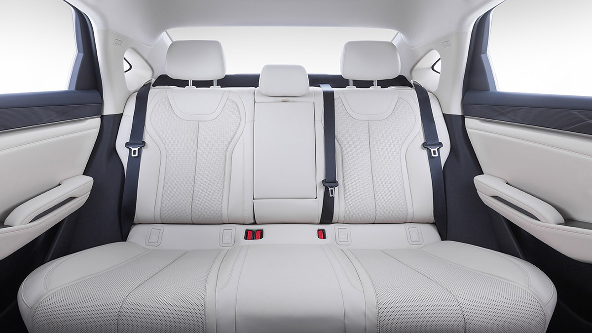 گالری تصاویر بی وای دی چین L