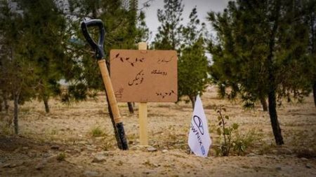 رویشگاه فونیکس